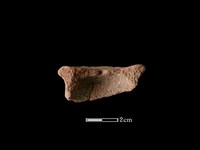 陶片藏品圖，第2張